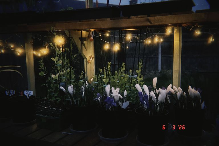 Artwork from project Studio and Life